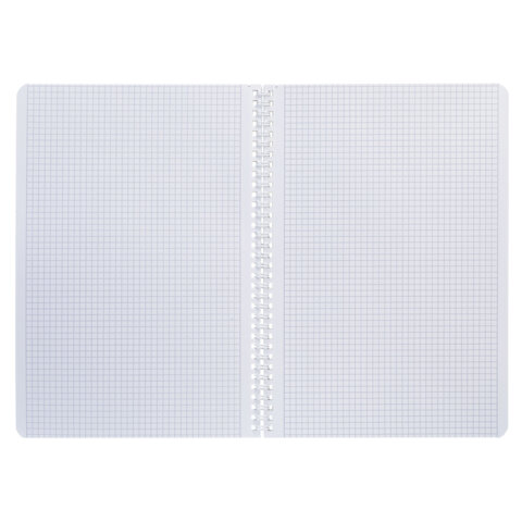 Тетрадь А4 80 л., HATBER, гребень, клетка, Soft-touch ламинация, цветной срез, "Рыба моя" (микс), 090167, 80Т4лВ1гр