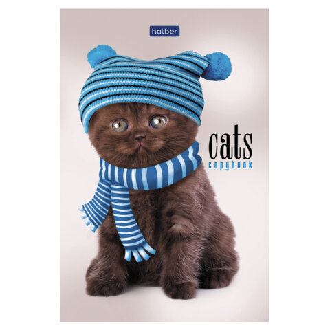 Блокнот МАЛЫЙ ФОРМАТ А6, 40 л., склейка, мелованная бумага, клетка, глянцевая ламинация, HATBER, "Кототерапия", 057230, 40Б6лA1к