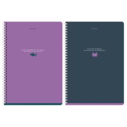 Тетради ДЭК А4 96 л. КОМПЛЕКТ 2 шт. BRAUBERG гребень, клетка, Soft Touch, MONOCOLOR, 404647