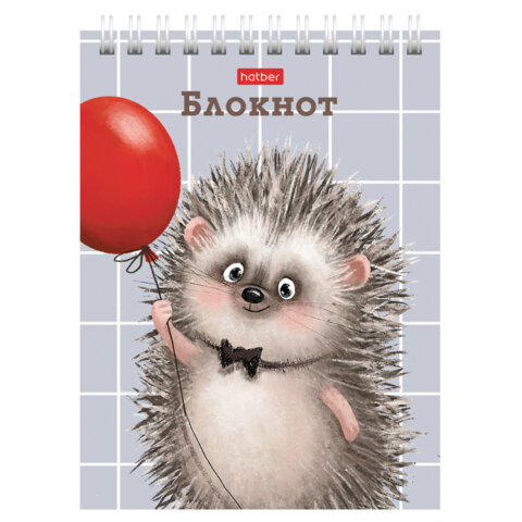Блокнот МАЛЫЙ ФОРМАТ А6, 40 л., гребень, картон, клетка, HATBER, "Хорошо быть ёжиком", 080472, 40Б6В1гр