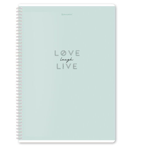 Тетради ДЭК А4 96 л. КОМПЛЕКТ 2 шт. BRAUBERG гребень, клетка, матовая ламинация, "Пастель_2", 404884