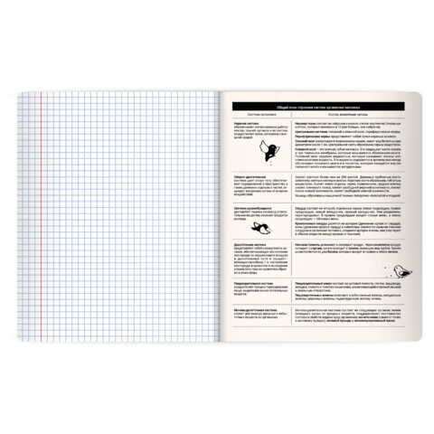 Тетрадь предметная КОТ-НЕПОСЕДА 48л, пластиковая обложка, БИОЛОГИЯ, клетка, подсказ, BRAUBERG, 405530