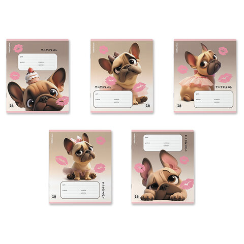 Тетрадь 18л. ErichKrause клетка, выборочный УФ-лак, Frenchie (микс в спайке),64834