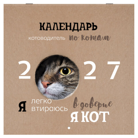 Календарь настенный перекидной 2027 г., BRAUBERG, 12 листов, 28,5х28,5 см, "Смешные котики", 118430