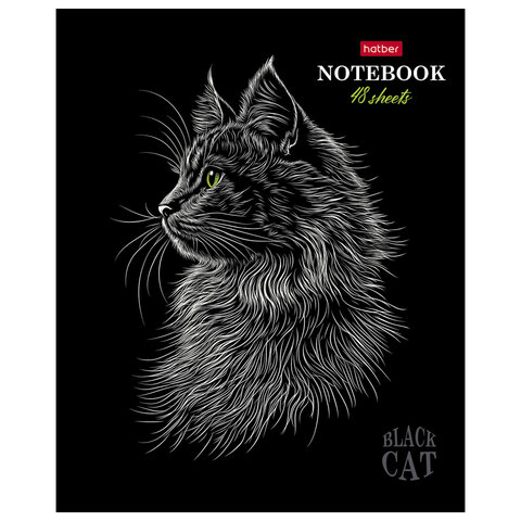 Тетрадь А5 48л. HATBER скоба, клетка, матовая ламинация, 3D лак, Black Cat (микс в сп, 48Т5лолВ1