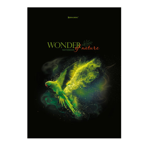 Тетради ДЭК А4, 96 л., КОМПЛЕКТ 3 шт., BRAUBERG, скоба, клетка, глянцевый лак, "Shade", 404654