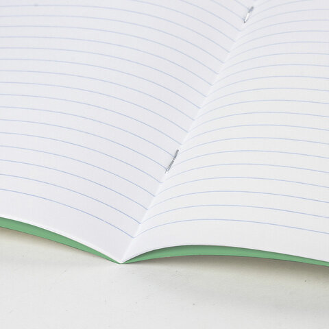 Тетради ДЭК 12 л. КОМПЛЕКТ 20 шт., с ЗЕЛЁНОЙ обложкой, ЮНЛАНДИЯ, клетка+линия, 106751