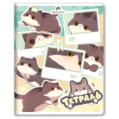 Тетрадь А5 48 л. BRAUBERG скоба, клетка, выборочный лак, кросс-серия МИЛЫЕ КОТЫ, 405193