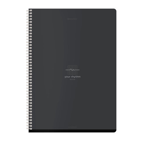 Тетради ДЭК А4 96 л. КОМПЛЕКТ 2 шт. BRAUBERG гребень, клетка, матовая ламинация, "Ритм", 404871