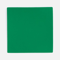 Лейбл Listra Soft Touch, L, зеленый, 5х5 см