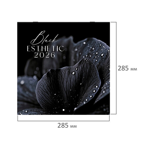 Календарь настенный перекидной 2026 г., BRAUBERG, 12 листов, 28,5х28,5 см, "Black esthetic", 116927