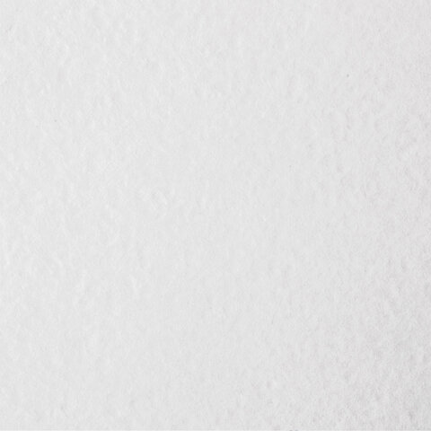 Бумага для акварели БОЛЬШАЯ А3 в коробке, 40 листов, 200 г/м2, среднее зерно, BRAUBERG ART CLASSIC, 116356