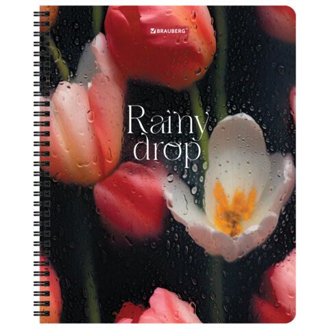 Тетради ДЭК А5 48 л. КОМПЛЕКТ 4 шт., BRAUBERG, гребень, клетка, 80 г/м2, SoftTouch, Aesthetics, 405580