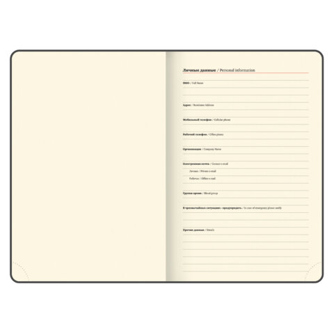 Ежедневник датированный 2026 А5 138х213 мм, BRAUBERG "ArtGallery", под кожу, нашивка, голубой, 117407