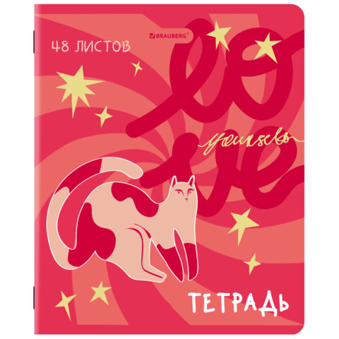 Тетради ДЭК А5 48 л. КОМПЛЕКТ 5 шт. BRAUBERG, скоба, клетка, TWIN-лак, "PINK MOOD", 404930