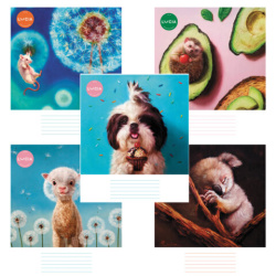 Тетрадь 24л. HATBER клетка, обложка картон, Узнай себя! (микс в спайке), 24Т5В1