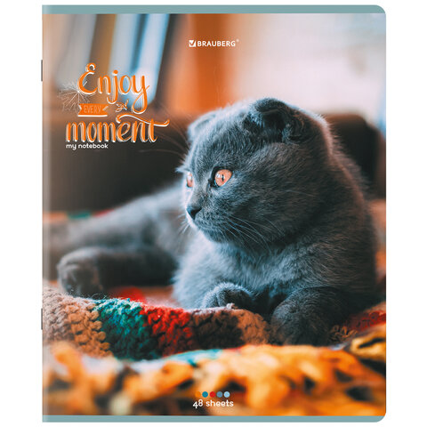 Тетради ДЭК А5 96 л. КОМПЛЕКТ 5 шт., BRAUBERG скоба, клетка, матовая ламинация, "Котики", 404693