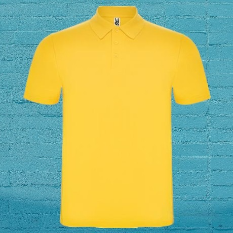 Футболка поло AUSTRAL с воротником в рубчик и планкой на три пуговицы, мужская