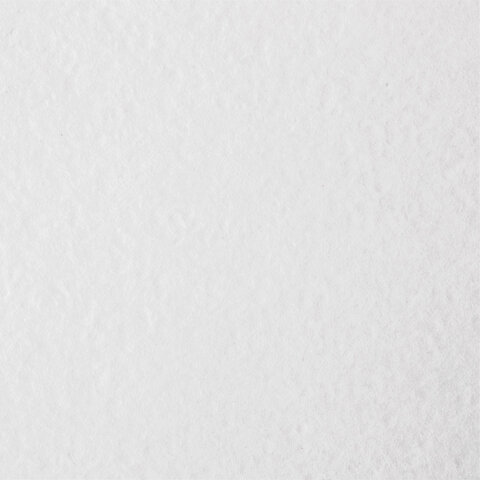 Бумага для акварели А4 в коробке, 40 листов, 200 г/м2, среднее зерно, BRAUBERG ART CLASSIC, 116355