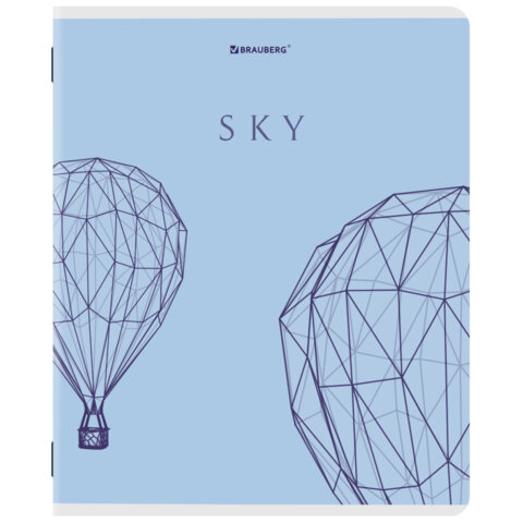 Тетради ДЭК А5 48 л. КОМПЛЕКТ 5 шт. BRAUBERG скоба, клетка, матовая ламинация, СИЛУЭТЫ, 404921