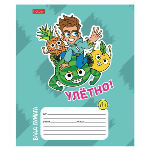 Тетрадь 12л. HATBER линия, обложка картон, Влад А4 (микс в спайке), 12Т5В2