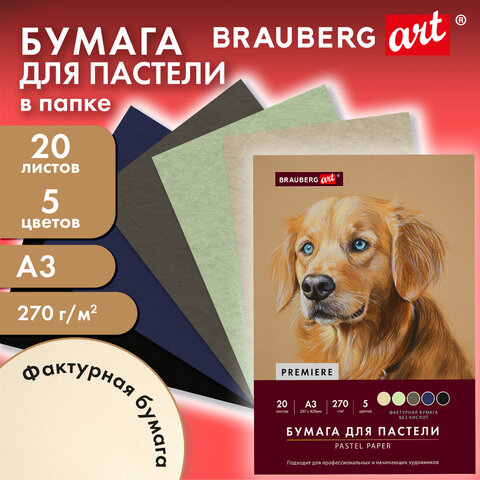 Бумага для пастели ФАКТУРНАЯ, А3, в папке, 20 листов, 5 цветов, 270 г/м2, BRAUBERG ART, 117756