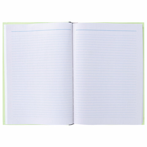 Книга учета 96 л., линия, твердая, типографский блок, А4 (200х290 мм), STAFF, 130217