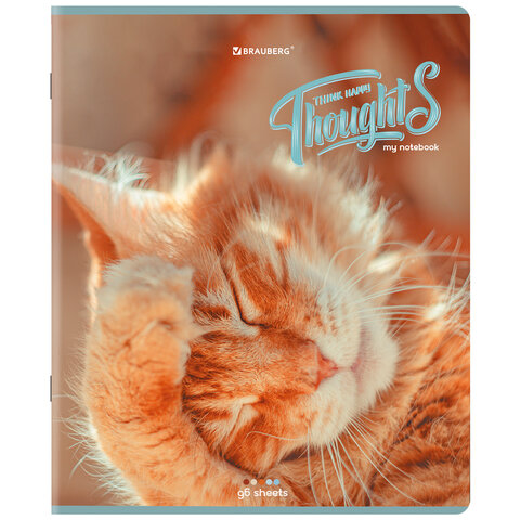 Тетради ДЭК А5 96 л. КОМПЛЕКТ 5 шт., BRAUBERG скоба, клетка, матовая ламинация, "Котики", 404693