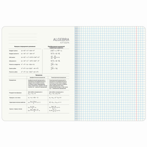 Тетради предметные, КОМПЛЕКТ 5 ПРЕДМЕТОВ, 48 л., матовая ламинация, BRAUBERG "MINIMAL", 405185
