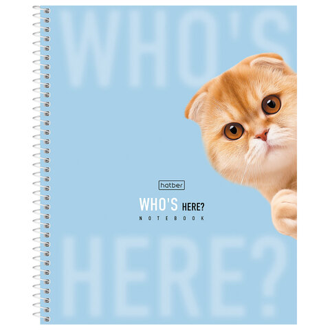 Тетрадь А5 96л. HATBER спираль, линия, матовая ламинация, Кто здесь? (микс в спайке),, 96Т5лВ2сп