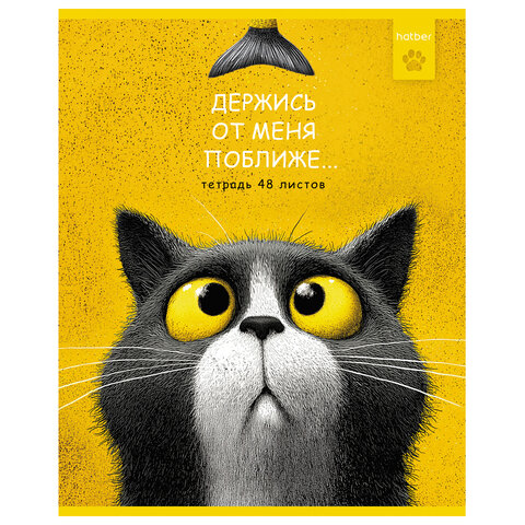Тетрадь А5 48 л. HATBER скоба, клетка, рельефный картон, "Пушистый философ" (микс в ПУ), 095072, 48Т5тВ1