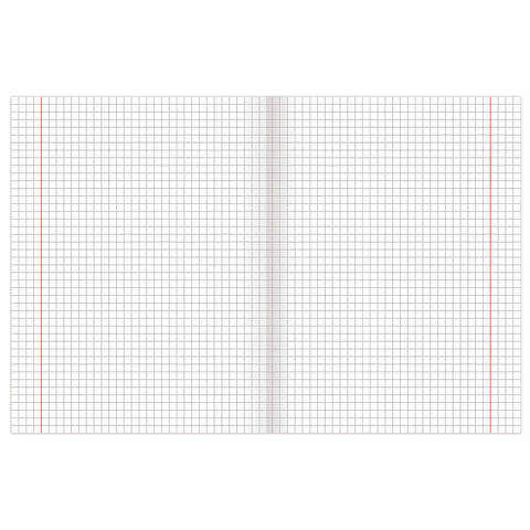 Тетрадь 18 л. BRAUBERG "ЭКО", клетка, обложка плотная мелованная бумага, ПАСТЕЛЬНАЯ С УГОЛКОМ, 402804