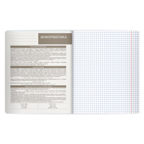 Тетрадь предметная MonoPastel 48л, пластиковая обложка, ИНФОРМАТИКА, клетка, подсказ, BRAUBERG, 405507