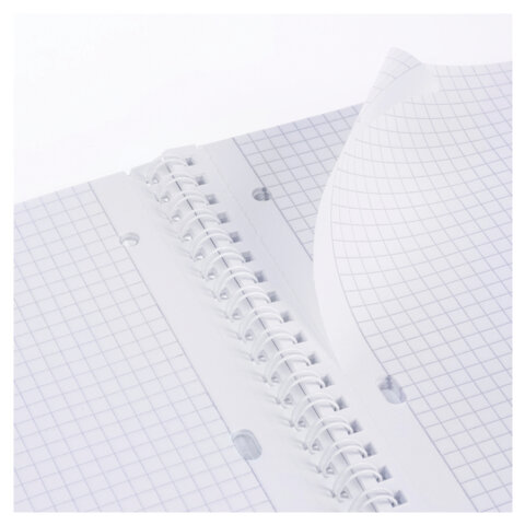 Тетрадь обложка пластик, А4 80л. гребень, клетка, HATBER, LINE NEON Розовая, 081545, 80Т4В1гр_03033