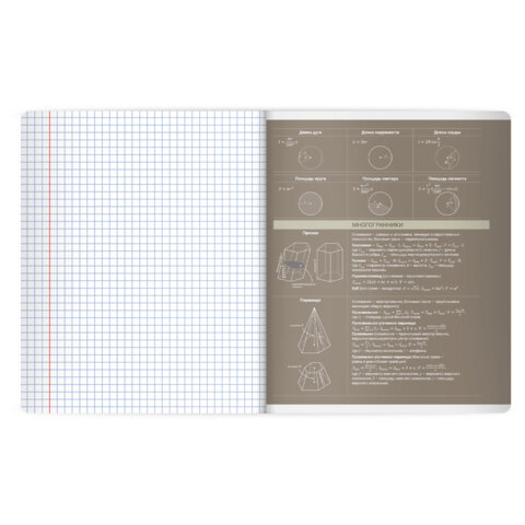 Тетрадь предметная MonoPastel 48л, пластиковая обложка, ГЕОМЕТРИЯ, клетка, подсказ, BRAUBERG, 405506