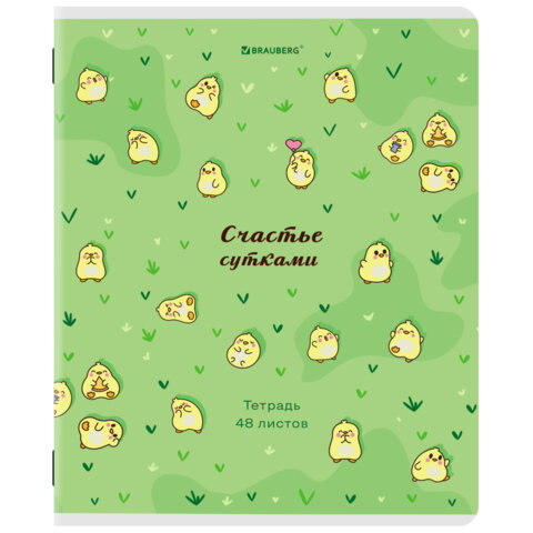 Тетради ДЭК А5 48 л. КОМПЛЕКТ 5 шт. BRAUBERG скоба, клетка, матовая ламинация, выборочный лак, КУРЛЫК И ВСЕ ВСЕ ВСЕ, 404959