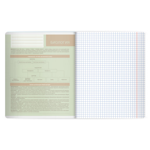 Тетрадь предметная MonoPastel 48 л., пластиковая обложка, БИОЛОГИЯ, клетка, подсказ, BRAUBERG, 405504