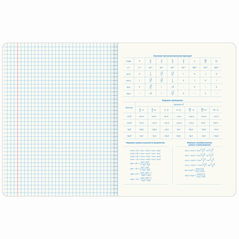 Тетради предметные со справочным материалом, КОМПЛЕКТ 10 ПРЕДМЕТОВ, 48 л., TWIN лак, BRAUBERG, "ORIGINAL", 404328