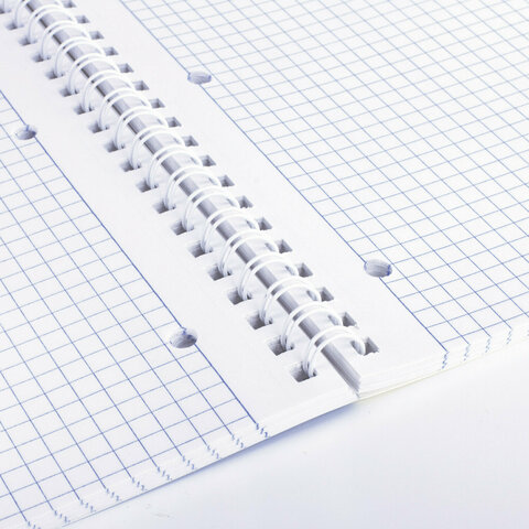 Тетради ДЭК А4 96 л. КОМПЛЕКТ 2 шт. BRAUBERG гребень, клетка, матовая ламинация, лак, NATURAL, 404648