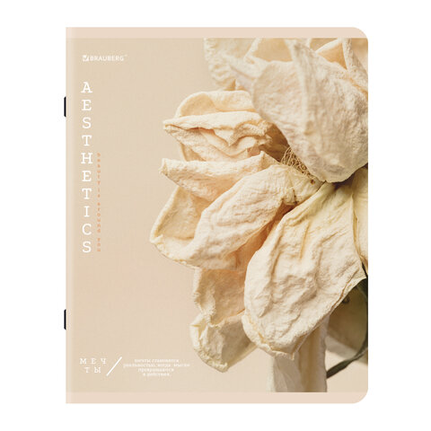 Тетради ДЭК А5 48 л. КОМПЛЕКТ 5 шт. BRAUBERG скоба, клетка, SoftTouch, "Пастельная", 404948