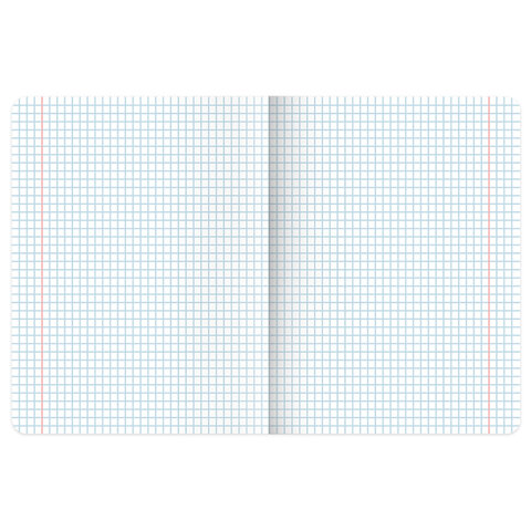 Тетради ДЭК А5 48 л. КОМПЛЕКТ 5 шт. BRAUBERG скоба, клетка, SoftTouch, "Peaceful", 404926