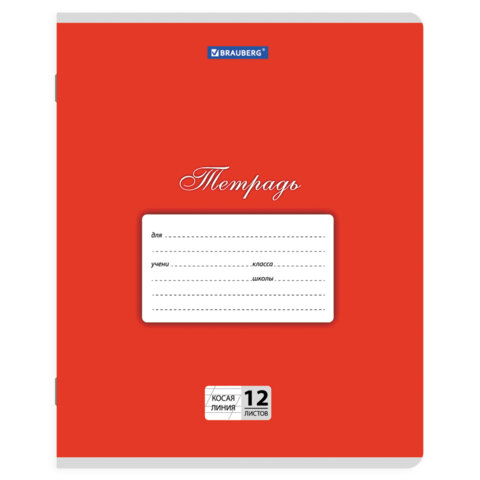 Тетради ДЭК 12 л. КОМПЛЕКТ 20 шт. BRAUBERG КЛАССИКА, косая линия, обложка картон, АССОРТИ, 107072