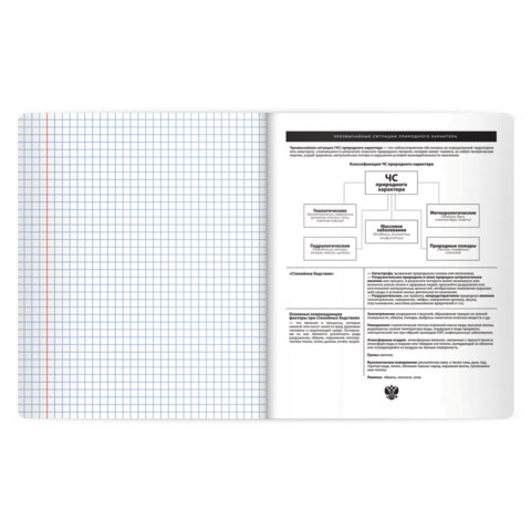 Тетрадь предметная BLACK MODE 48л, пластиковая обложка, ОБЗР, клетка, подсказ, BRAUBERG, 405526