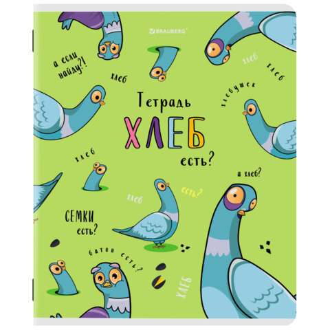 Тетради ДЭК А5 48 л. КОМПЛЕКТ 5 шт. BRAUBERG скоба, клетка, матовая ламинация, выборочный лак, КУРЛЫК И ВСЕ ВСЕ ВСЕ, 404959