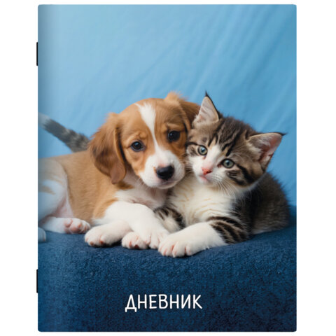 Дневник 1-11 класс 40 л., на скобе, ПИФАГОР, обложка картон, МИКС "Универсальный", 107578