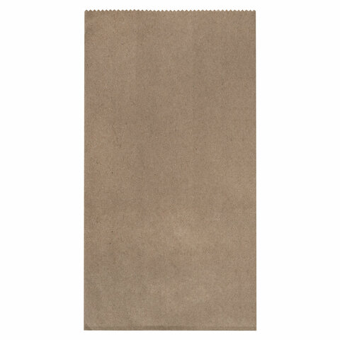 Крафт-пакет бумажный 18х12х29 см, КОМПЛЕКТ 100 шт., плотность 90 г/м2, LAIMA ECO CRAFT, 609683