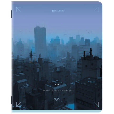 Тетради ДЭК А5 48 л. КОМПЛЕКТ 5 шт. BRAUBERG скоба, клетка, матовая ламинация, КРЫШИ, 404941