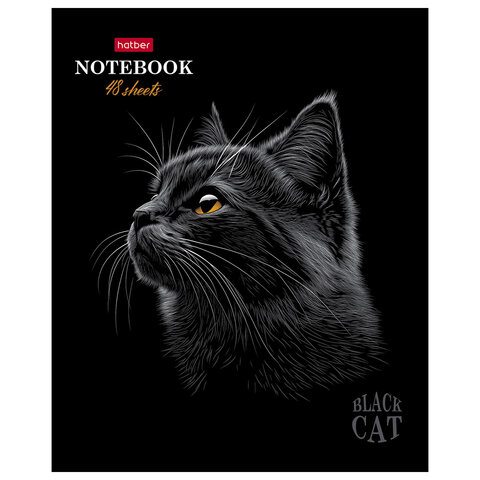 Тетрадь А5 48л. HATBER скоба, клетка, матовая ламинация, 3D лак, Black Cat (микс в сп, 48Т5лолВ1