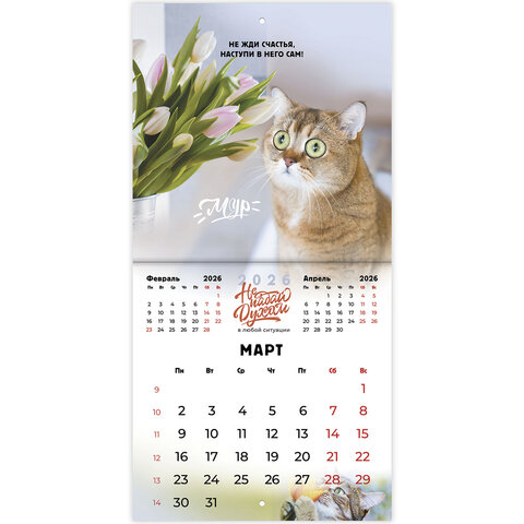 Календарь настенный перекидной 2026 г., BRAUBERG, 12 листов, 21,4х21,4 см, МИНИ, "Не падай духом", 116942