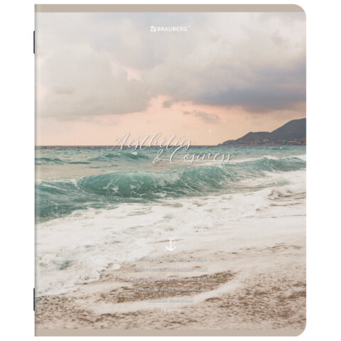 Тетради ДЭК А5 48 л. КОМПЛЕКТ 5 шт. BRAUBERG, скоба, клетка, SoftTouch, "ESTHETICS", 404929